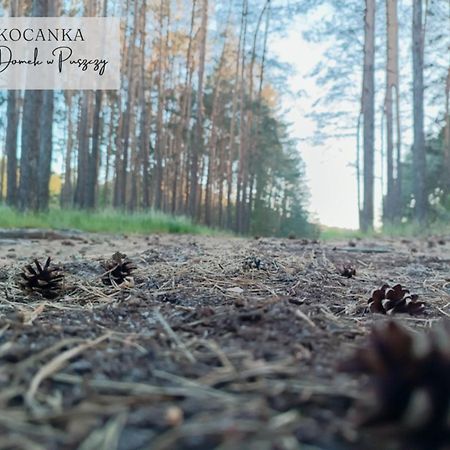 Domek W Puszczy ,,Kocanka" Mezyk Buitenkant foto