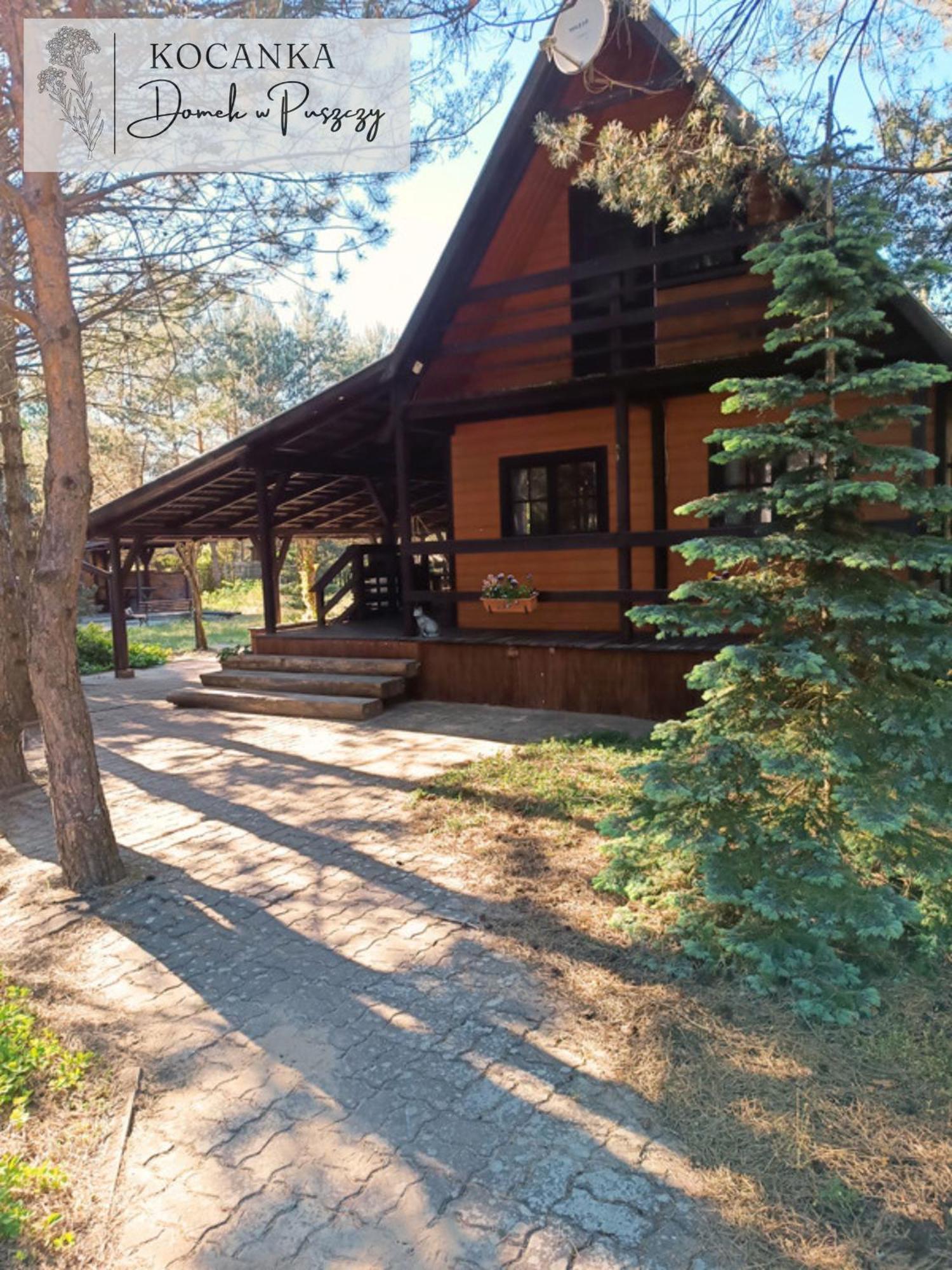 Domek W Puszczy ,,Kocanka" Mezyk Buitenkant foto